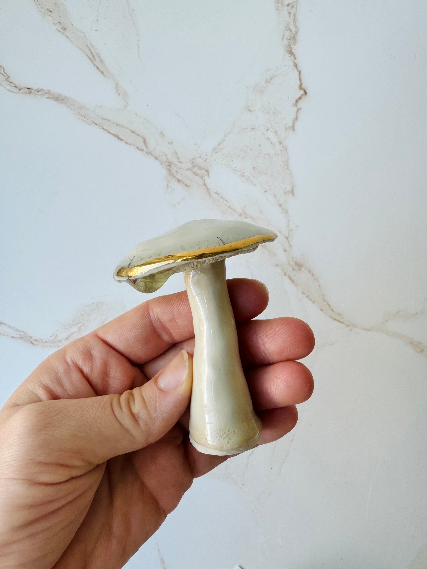 Champignon Mushrooms