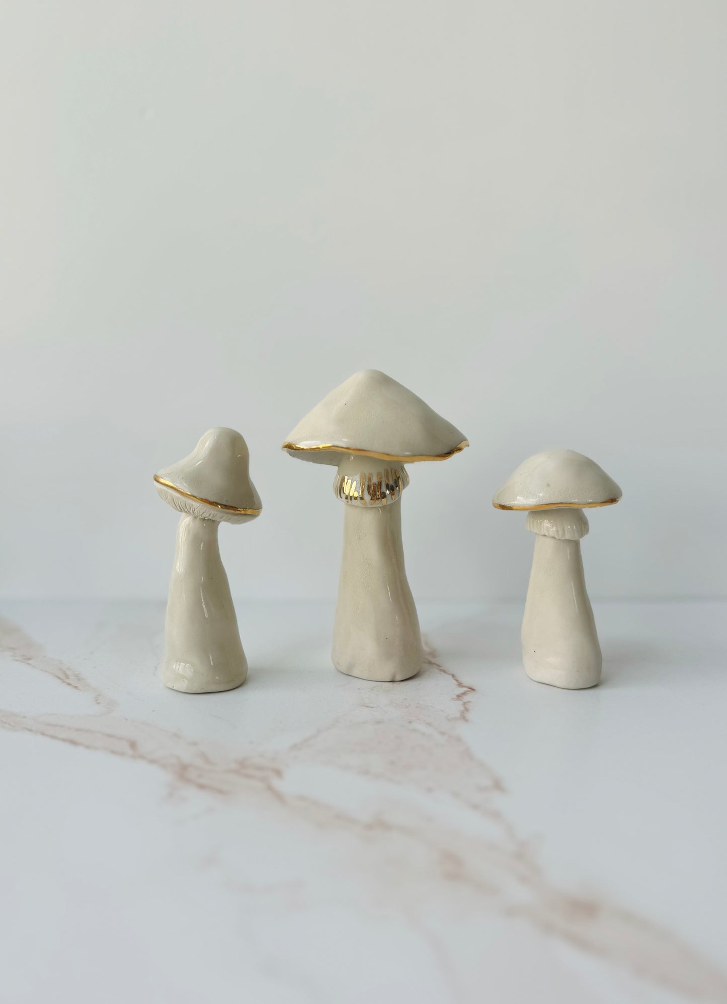 Champignon Mushrooms