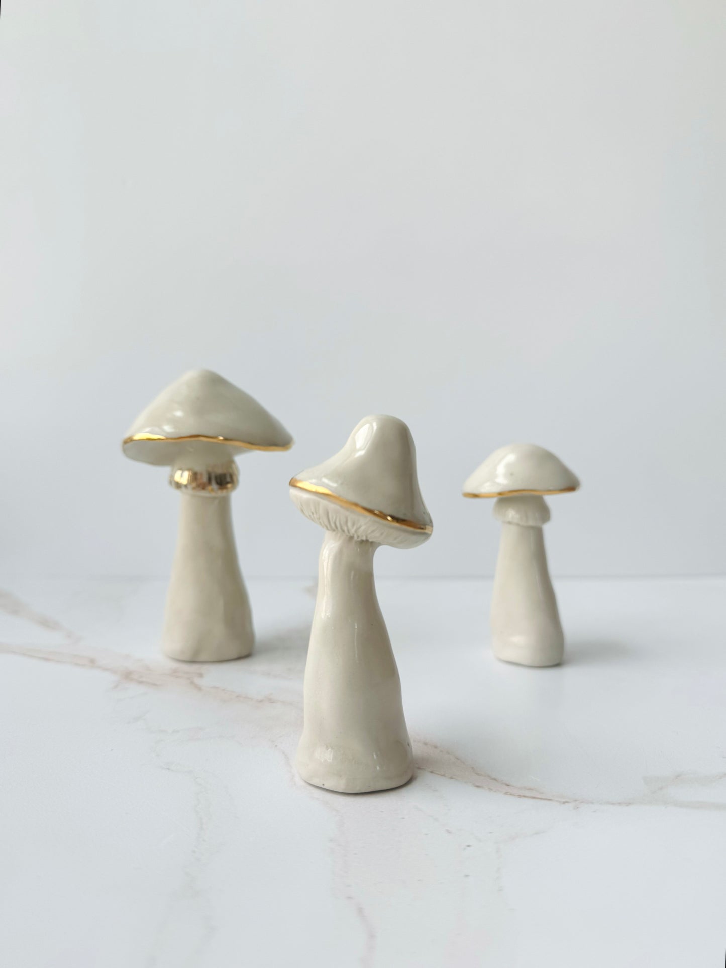 Champignon Mushrooms