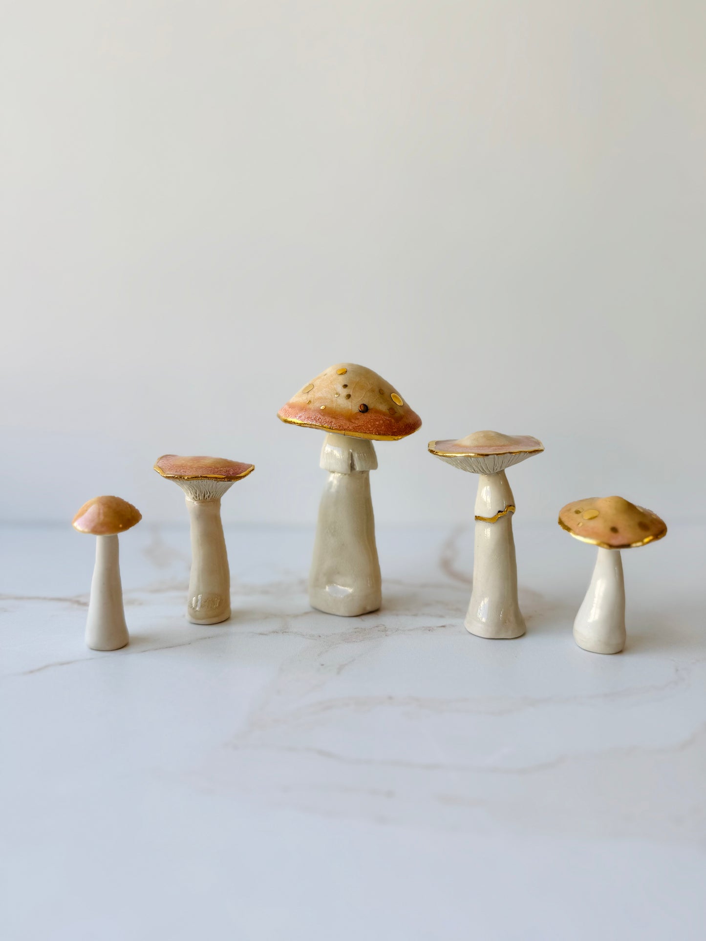 Enchanted Mushroom Series