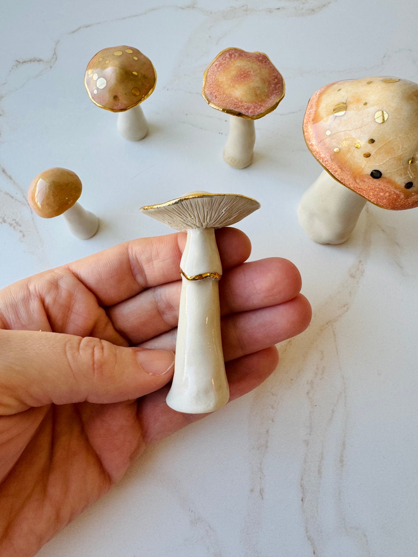 Enchanted Mushroom Series