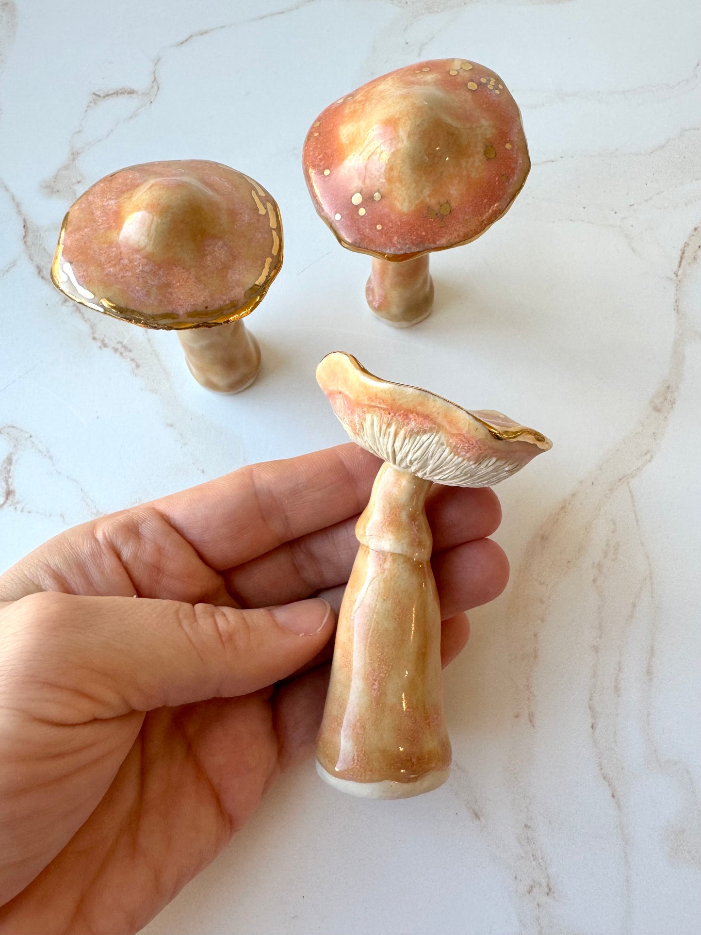 Enchanted Mushroom Series