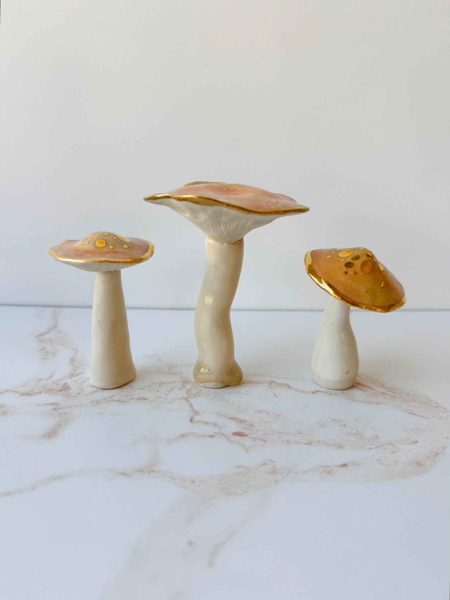 Enchanted Mushroom Series