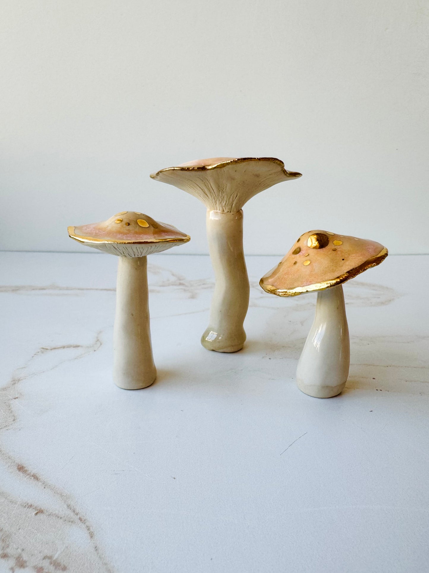 Enchanted Mushroom Series