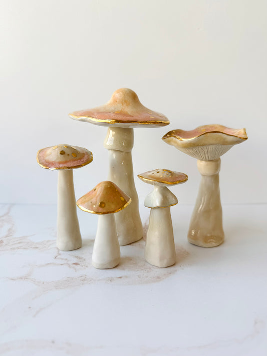 Enchanted Mushroom Series