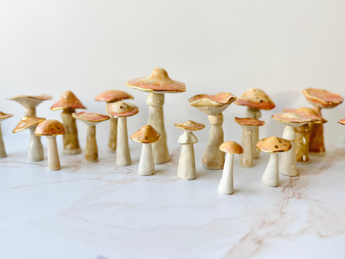 Enchanted Mushroom Series